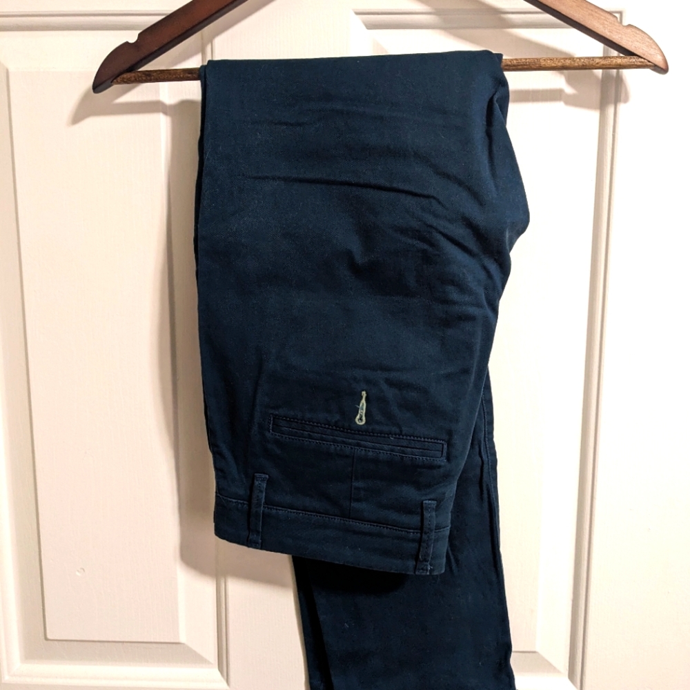 Turquoise Goodfellow& Co pants